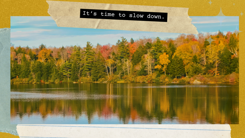 Fall trees over a lake
